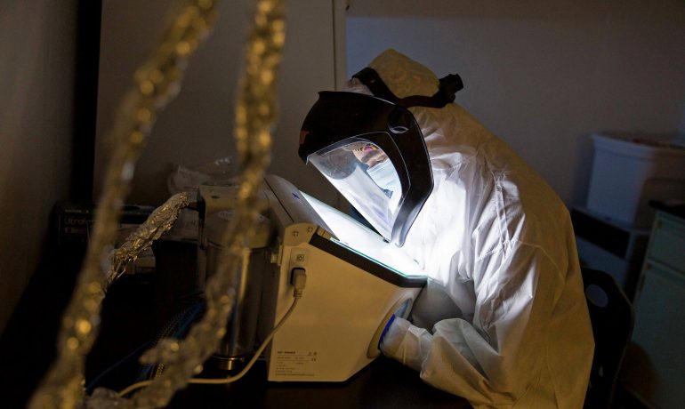 Tracing ancient migrations through DNA of the dead